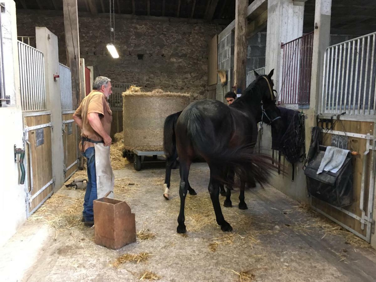 Ferme Gite Equestre En Charente 콩폴랑 외부 사진