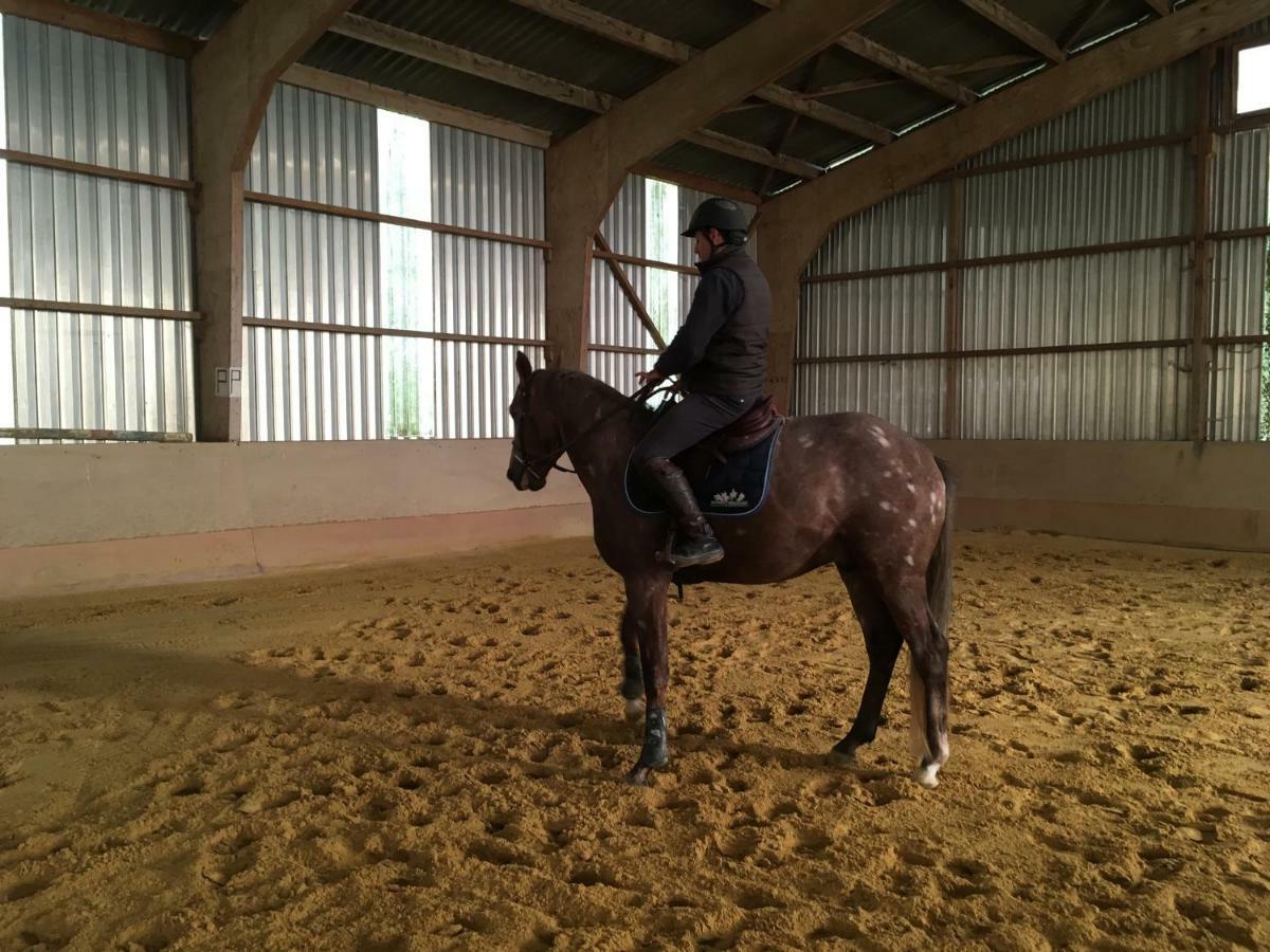 Ferme Gite Equestre En Charente 콩폴랑 외부 사진